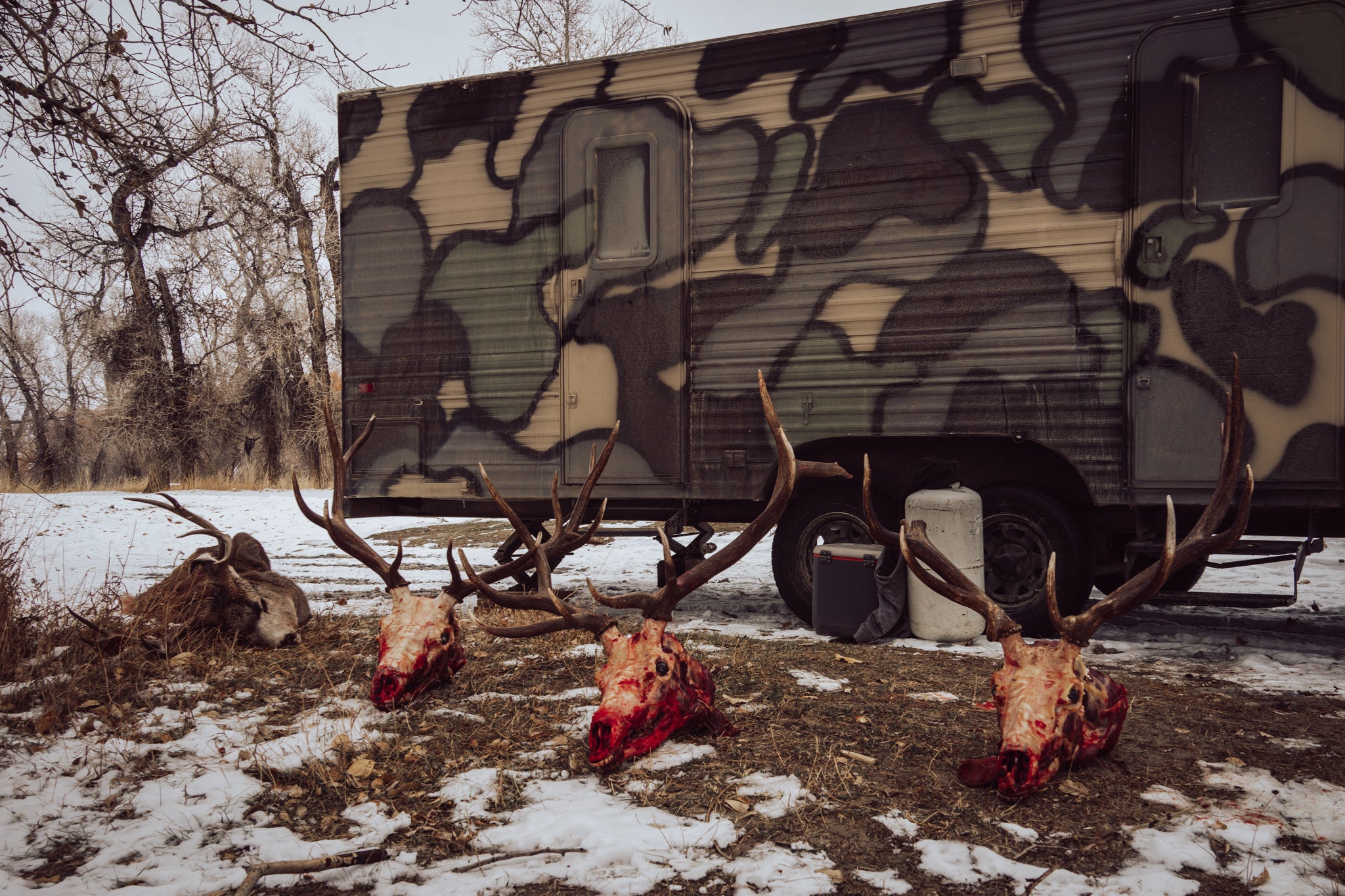 Success Story: Big Sky Public Land Bulls ft. Braedon Pennington