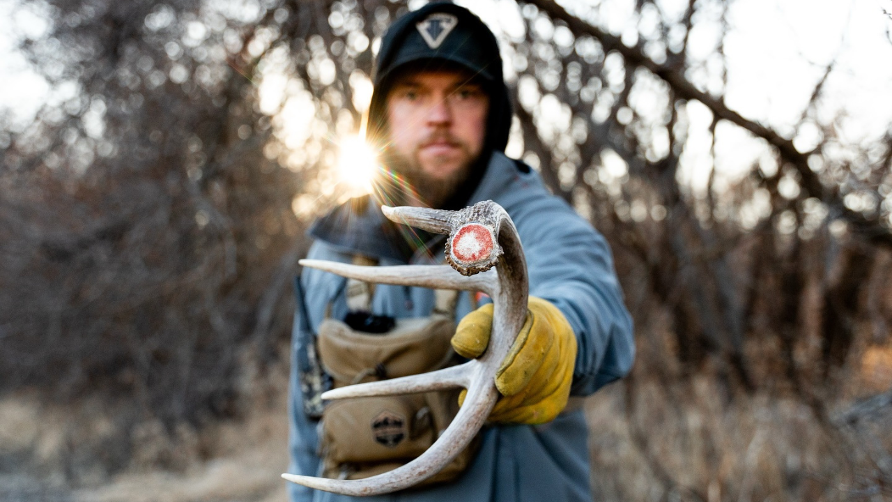 6 Shed Hunting Tips to Find More Deer Antlers in 2025